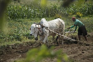 Slide desa pandan sari